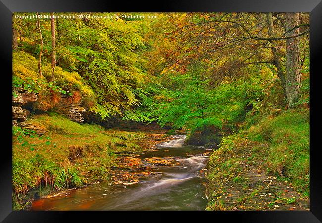  Hamsterley Forest in Autumn Framed Print by Martyn Arnold