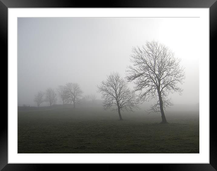 Trees in a field Framed Mounted Print by patrick dinneen