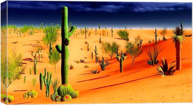 American desert Canvas Print by Dariusz Miszkiel