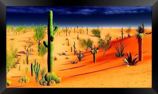 American desert Framed Print by Dariusz Miszkiel
