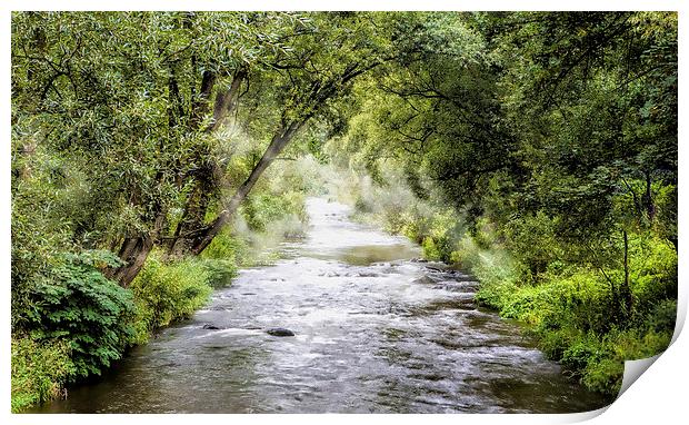 Mountainous creek Print by Dariusz Miszkiel