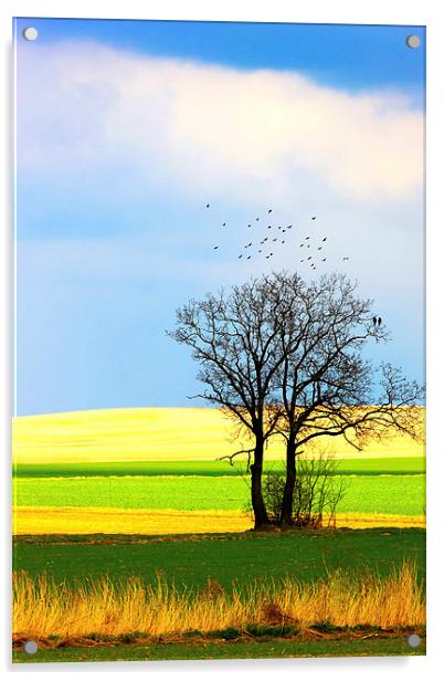 Solitary tree Acrylic by Dariusz Miszkiel