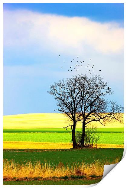 Solitary tree Print by Dariusz Miszkiel