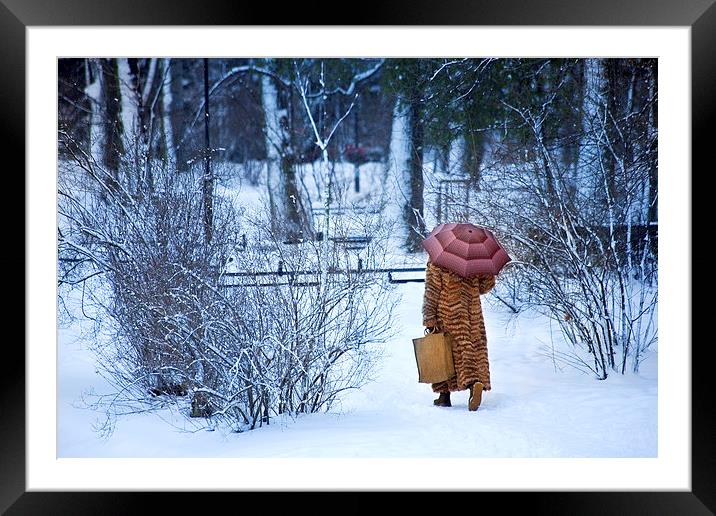 Wintery walk Framed Mounted Print by Dariusz Miszkiel