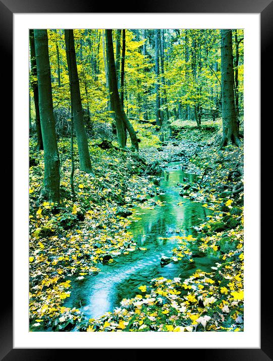 Creek in fall time Framed Mounted Print by Dariusz Miszkiel