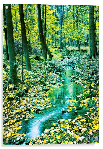 Creek in fall time Acrylic by Dariusz Miszkiel