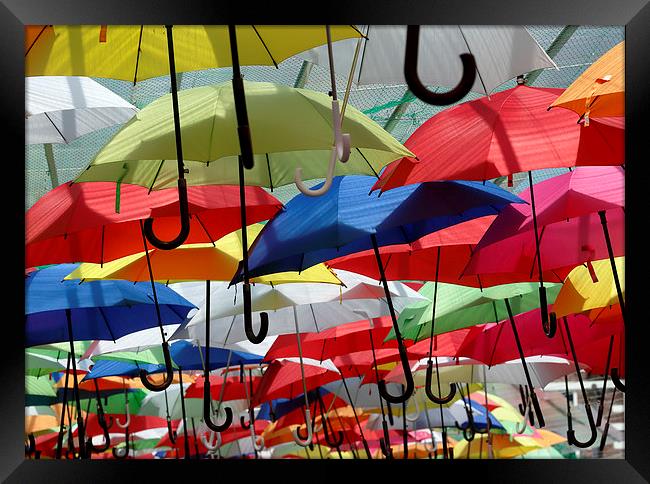  Colourful Umbrellas Framed Print by david harding