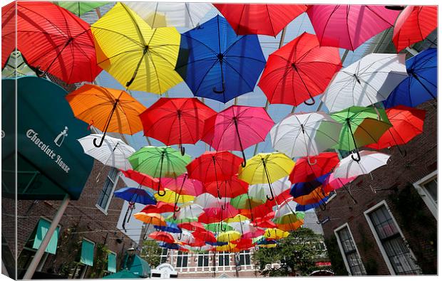  Colourful Umbrellas Canvas Print by david harding