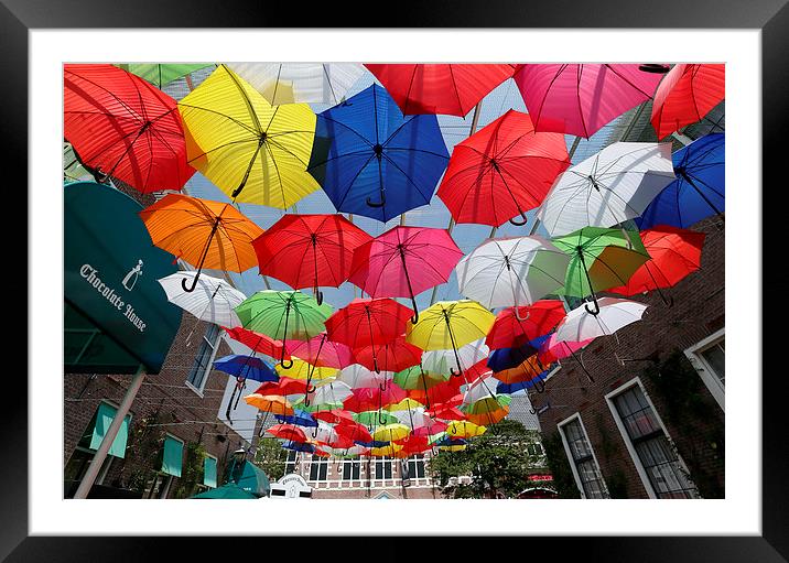  Colourful Umbrellas Framed Mounted Print by david harding