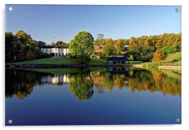 Crookes Valley Park in Autumn  Acrylic by Darren Galpin