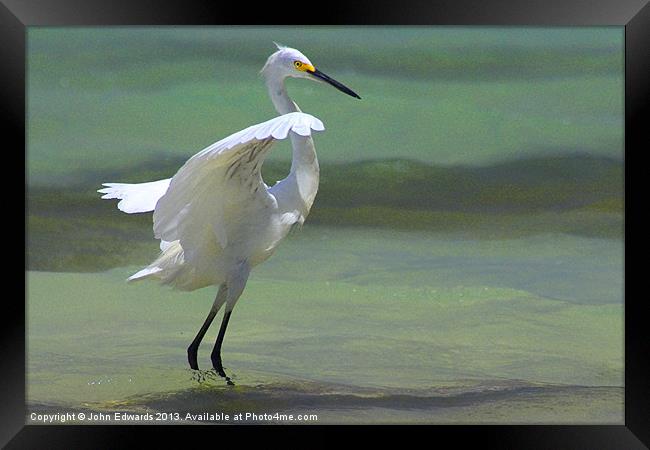 The Dance Framed Print by John Edwards