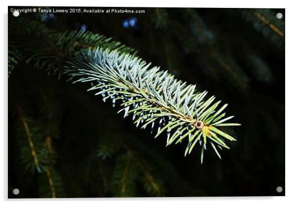  Pine needles Acrylic by Tanya Lowery
