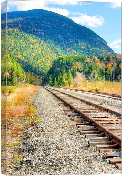 The Disappearing Railroad  Canvas Print by David Birchall
