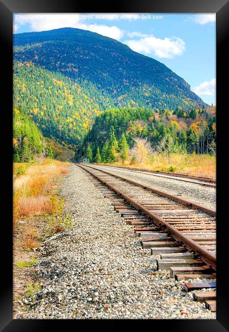 The Disappearing Railroad  Framed Print by David Birchall