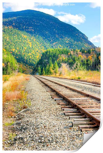 The Disappearing Railroad  Print by David Birchall