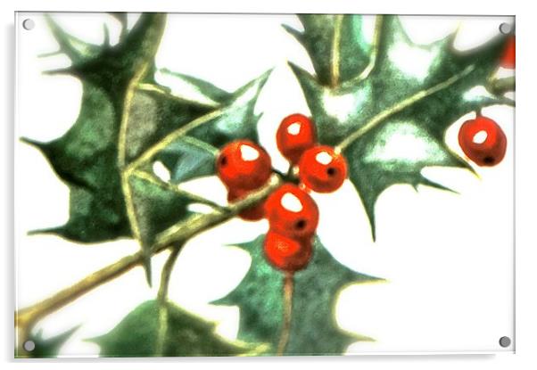 Holly and Red Berries  Acrylic by Sue Bottomley