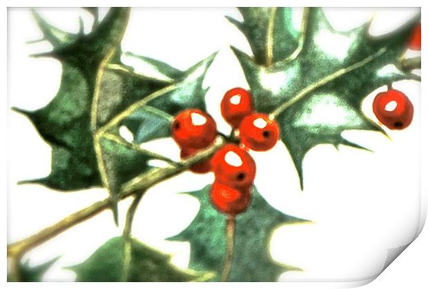 Holly and Red Berries  Print by Sue Bottomley