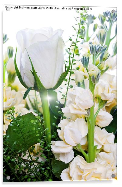 White roses close up on white background Acrylic by Simon Bratt LRPS