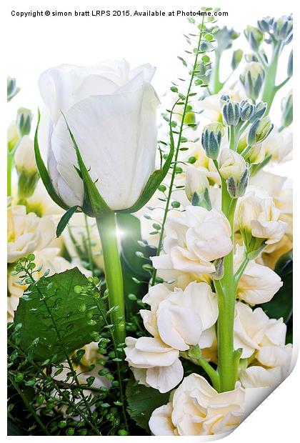 White roses close up on white background Print by Simon Bratt LRPS