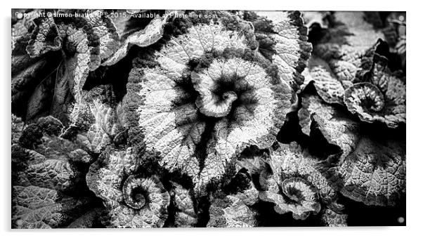 Begonia leaves in black and white Acrylic by Simon Bratt LRPS