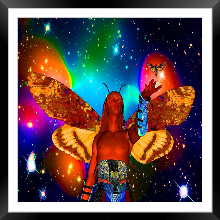  Star Moth Framed Mounted Print by Matthew Lacey