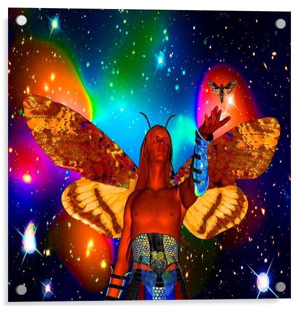  Star Moth Acrylic by Matthew Lacey