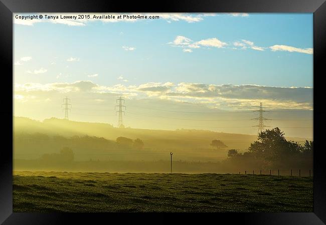  Autumn morning mist Framed Print by Tanya Lowery