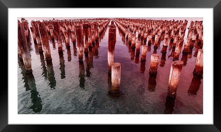  Prince's Pier Port Melbourne Framed Mounted Print by Pauline Tims
