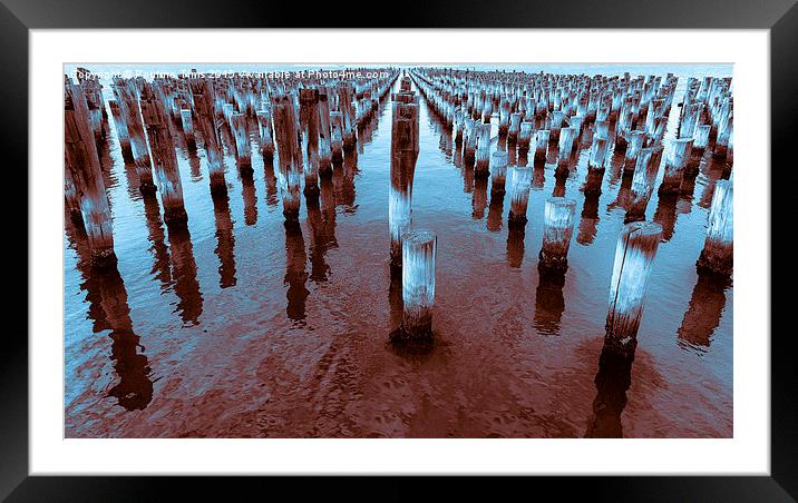  Prince's  Pier Port Melbourne Framed Mounted Print by Pauline Tims