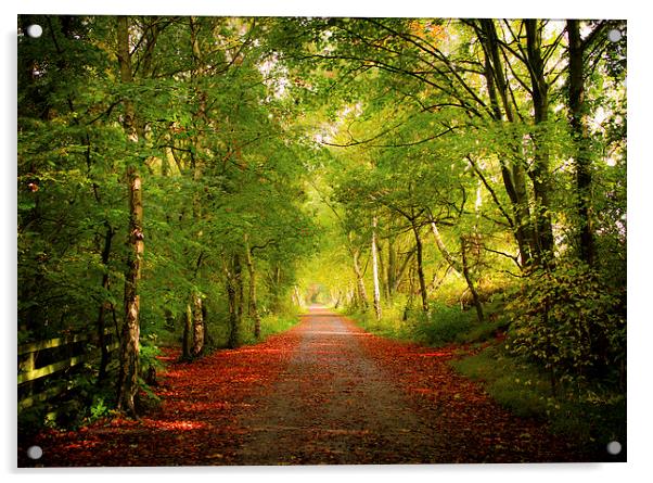  Autumn Walk Acrylic by Helen Holmes