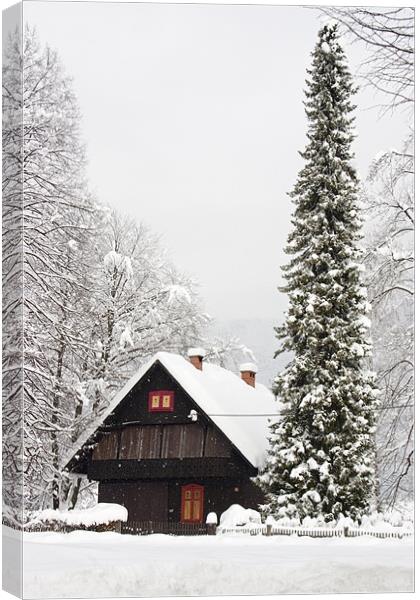 Bohinj, Triglav National Park, Slovenia. Canvas Print by Ian Middleton