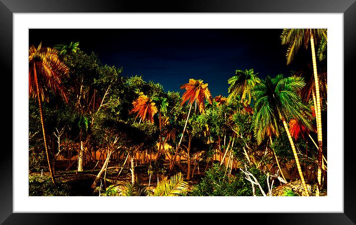 Tropical paradise Framed Mounted Print by Dariusz Miszkiel