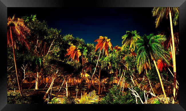 Tropical paradise Framed Print by Dariusz Miszkiel
