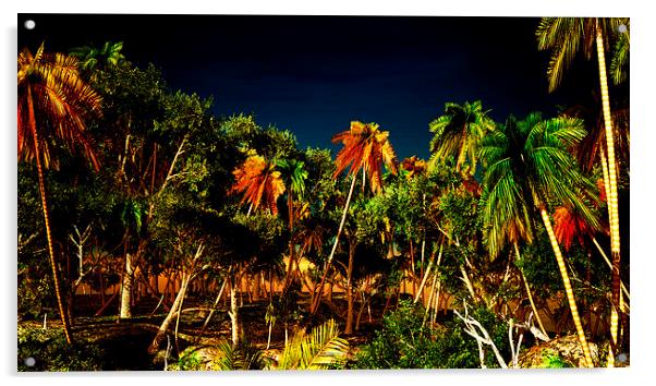 Tropical paradise Acrylic by Dariusz Miszkiel