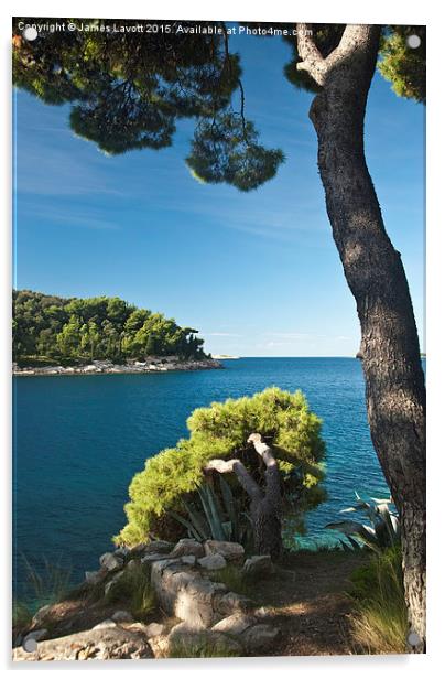  Cavtat On The Croatian Coast  Acrylic by James Lavott