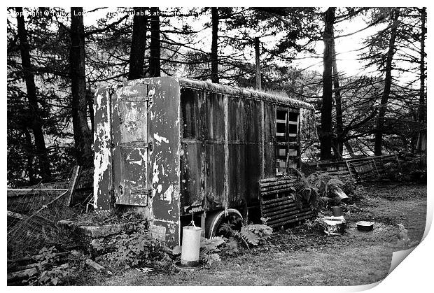  derelict truck Print by Tanya Lowery