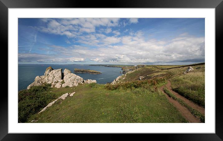 South west coast path   Framed Mounted Print by Eddie John