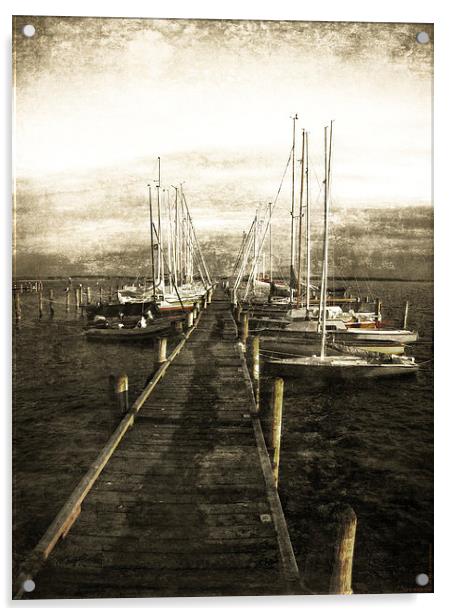  Overlooking The Yacht Dock Gray Acrylic by Florin Birjoveanu