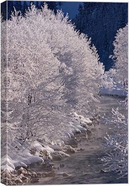 Winter morning II Canvas Print by Thomas Schaeffer