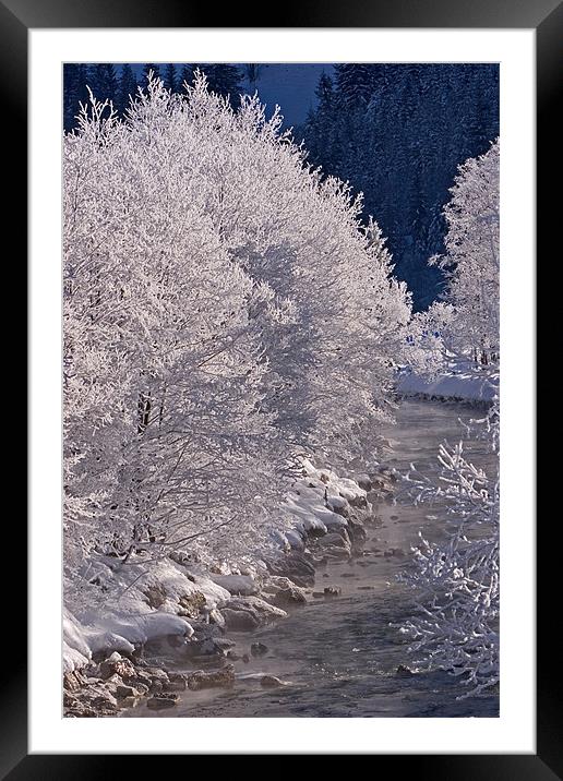 Winter morning II Framed Mounted Print by Thomas Schaeffer