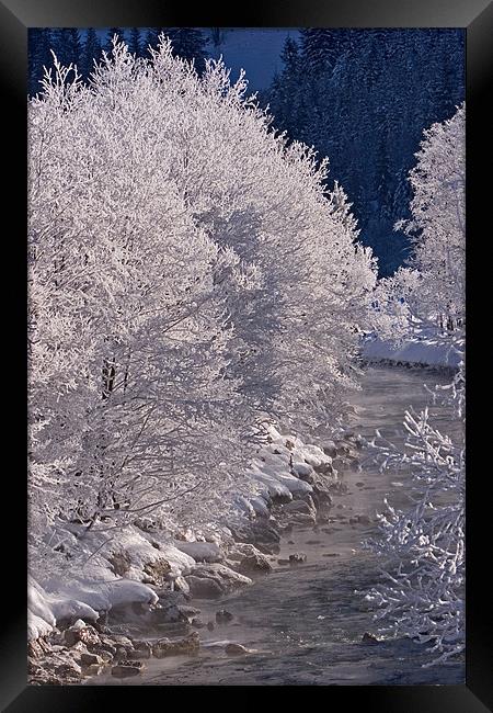 Winter morning II Framed Print by Thomas Schaeffer