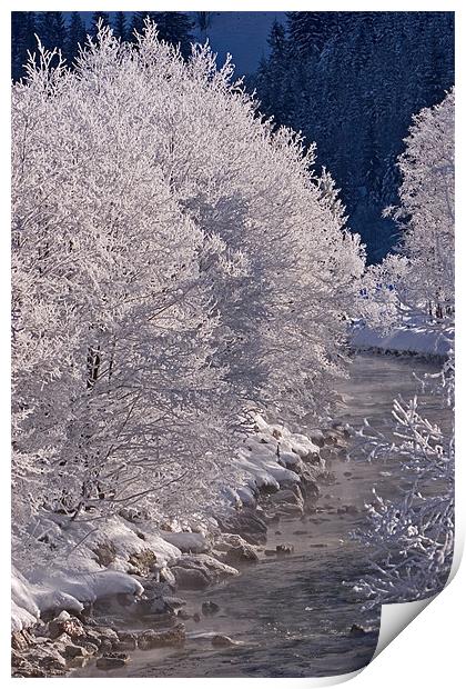 Winter morning II Print by Thomas Schaeffer