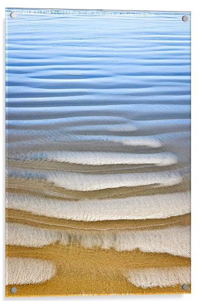 Wet sand texture on ocean shore Acrylic by ELENA ELISSEEVA