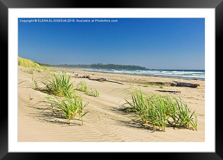 Ocean shore in Pacific Rim National park, Canada. Framed Mounted Print by ELENA ELISSEEVA