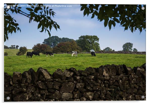 Cattle grazing in Derbyshire Acrylic by Jason Wells