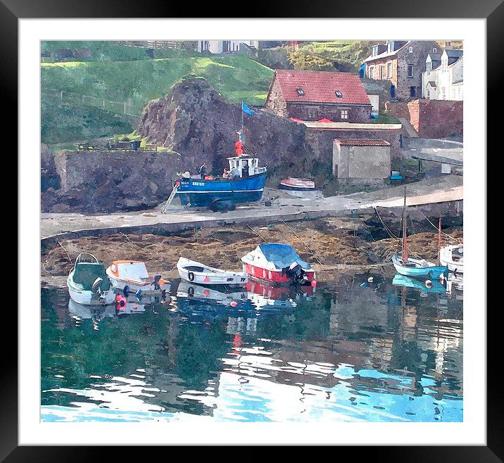  st.abbs head,scotland Framed Mounted Print by dale rys (LP)