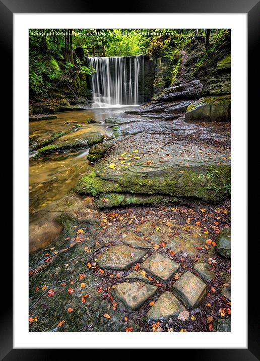 Woodland Waterfall Framed Mounted Print by Adrian Evans