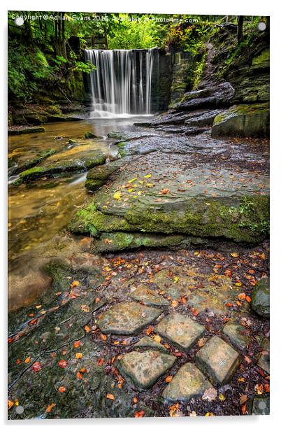 Woodland Waterfall Acrylic by Adrian Evans