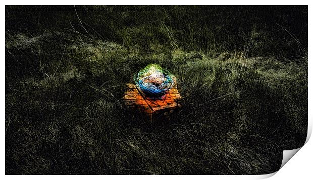 Bowl and Box in Grassy Field  Print by William Moore