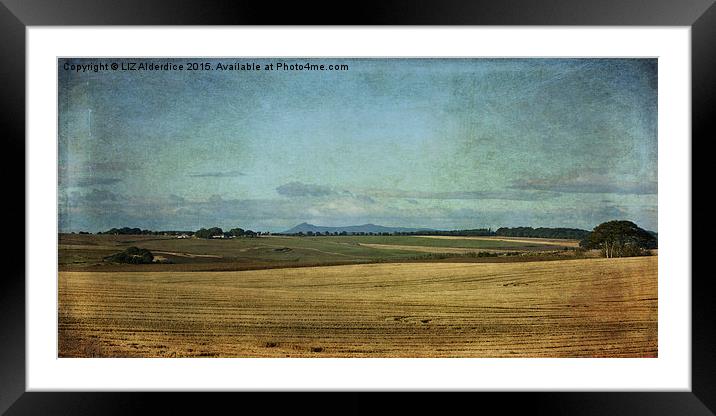  Bennachie Across the Fields Framed Mounted Print by LIZ Alderdice